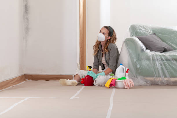 Reliable Mold Cleanup contractor in Danvers, MA by Cheap Mold Removal